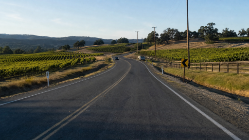 Rural vineyard road preview